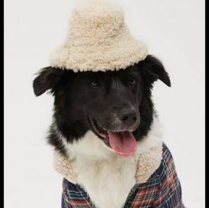 Aerie Dog Black‎ Sherpa Hat Nwt Size Xs
